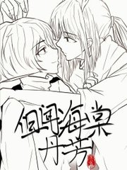 日韩砖码砖专码2024